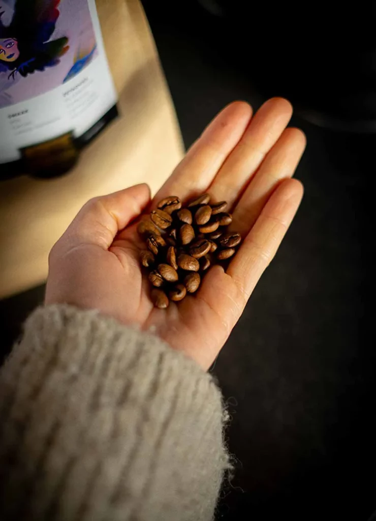 Wat is het verschil tussen Arabica en Robusta koffie?