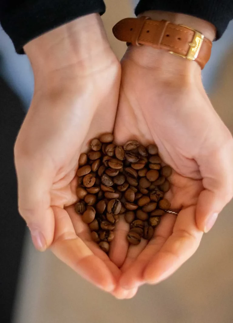 Koffiebonen in samen gevouwen handen
