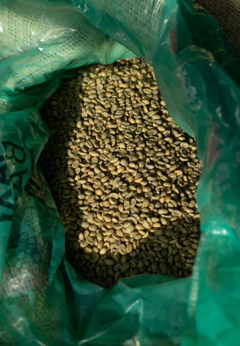 Geisha-koffie van Hacienda La Esmeralda geveild voor hoogste prijs ooit