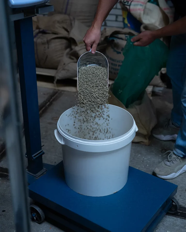 experimentele fermentatie