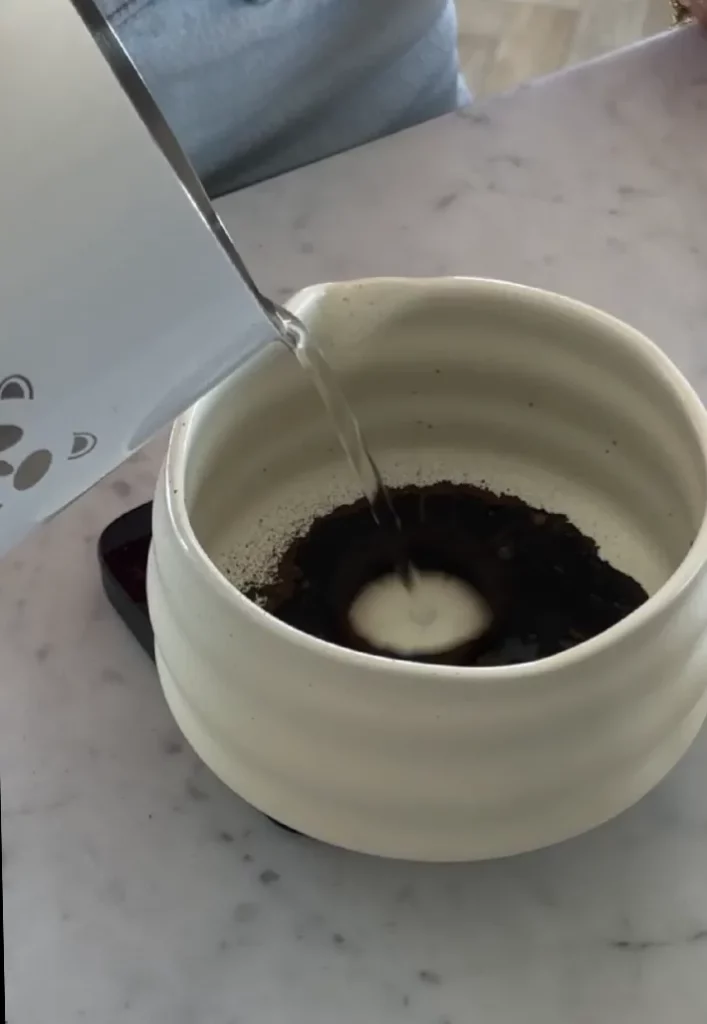 Wat is hojicha